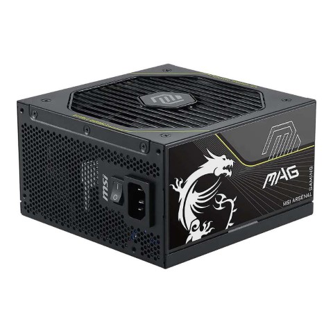 MSI 80+ Platinum (1000W) - Alimentation MSI - Cybertek.fr - 0