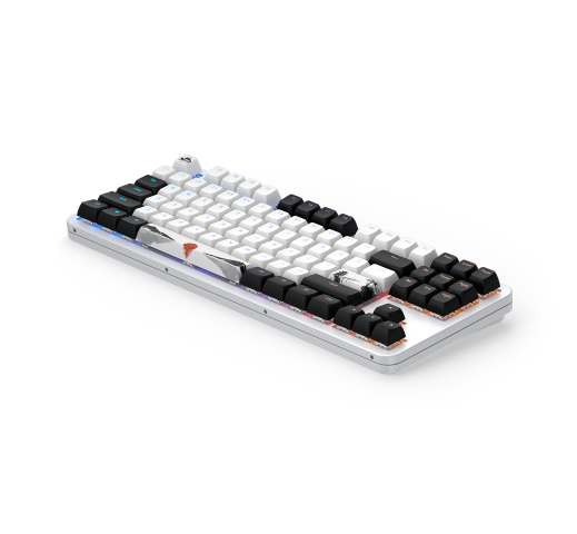 Dark Project Fuji 87 V2 TKL - Clavier PC Dark Project - 6