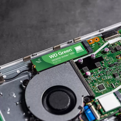 WD WD Green SN3000  M.2 - Disque SSD WD - Cybertek.fr - 3