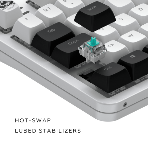Dark Project Fuji 87 V2 TKL - Clavier PC Dark Project - 12