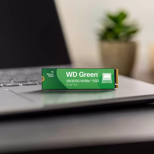 WD WD Green SN3000  M.2 - Disque SSD WD - Cybertek.fr - 4