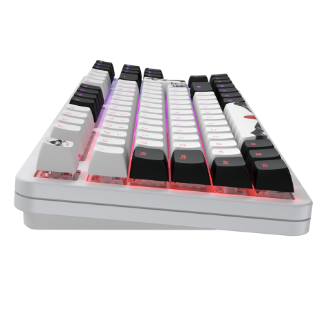Dark Project Fuji 87 V2 TKL - Clavier PC Dark Project - 10