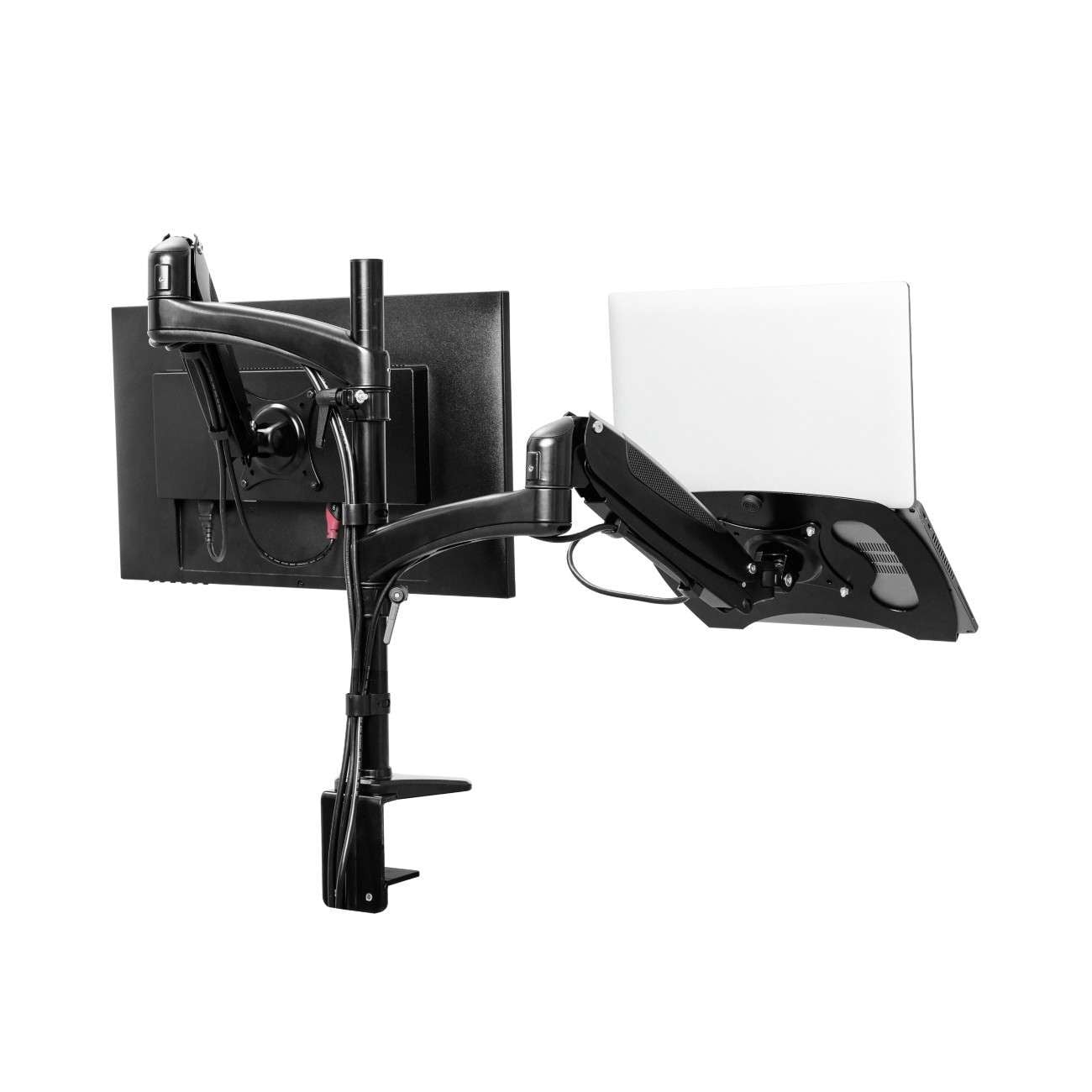 Double bras MARA pour écran et ordinateur portable - Accessoire écran - 2