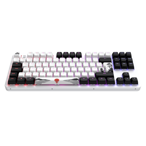 Dark Project Fuji 87 V2 TKL - Clavier PC Dark Project - 8