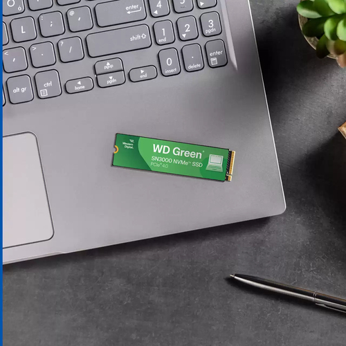 WD WD Green SN3000  M.2 - Disque SSD WD - Cybertek.fr - 2