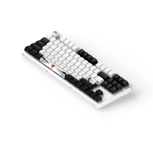 Dark Project Fuji 87 V2 TKL - Clavier PC Dark Project - 2