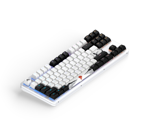 Dark Project Fuji 87 V2 TKL - Clavier PC Dark Project - 3