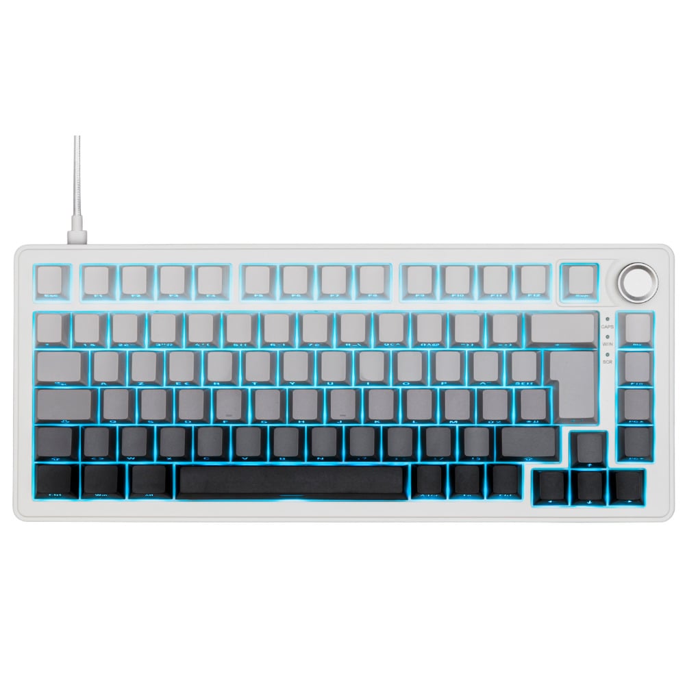 The G-LAB KEYZ ELITE 300 HE GRW 75%-Magnétique/Filaire/RGB - Clavier PC - 0